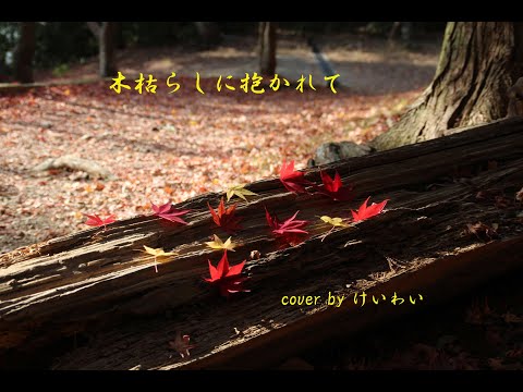 木枯らしに抱かれて