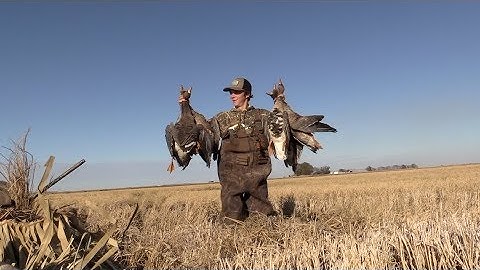 Duck Hunting - Whatever it takes