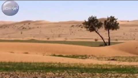 تلاوة نجدية من سورة السجدة بصوت الشيخ عبدالعزيز الحميدي