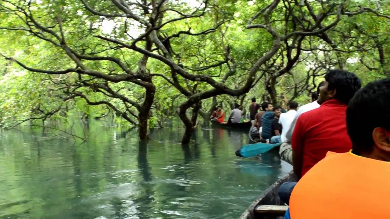 Ratargul Swamp Forest, Sylhet, Bangladesh - YouTube