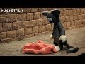 Cat in the bag  a stopmotion animated short film by nils skapns