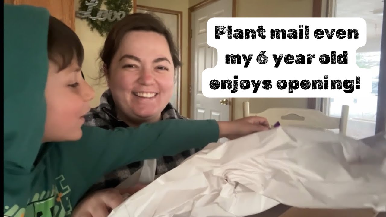 🪴 Anthurium Unboxing! | Greaux Crazy Honest Review! 