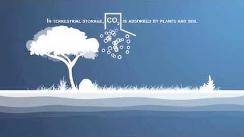 carbon sequestration animation