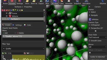 Imaris: Surface creation and Vantage View