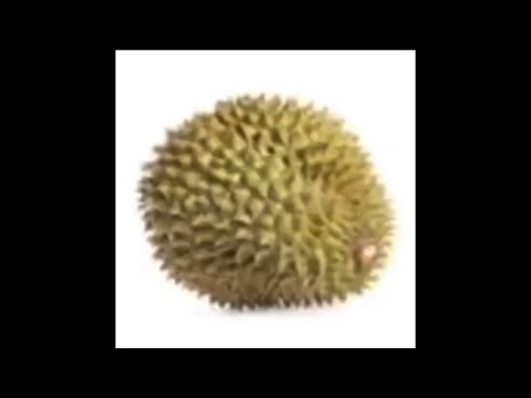 dubstep durian
