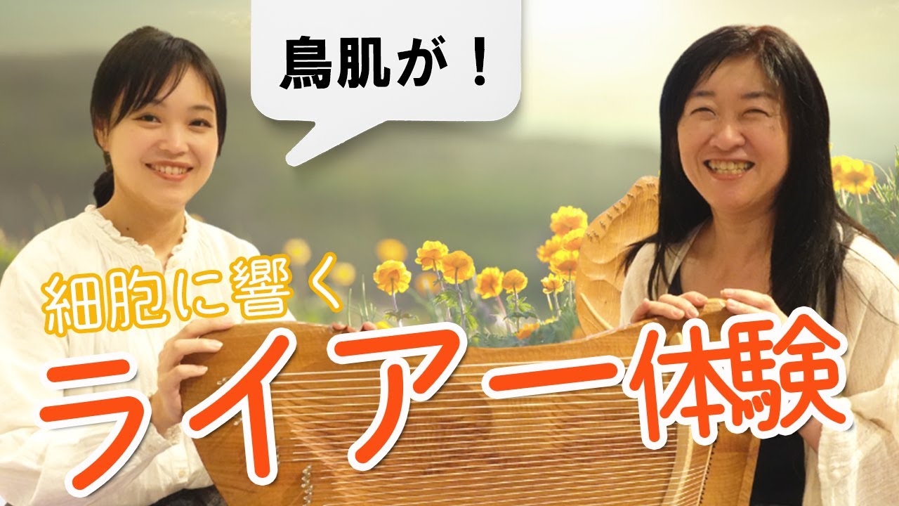 【希少】ソウルサウンドライアー　ヒーリングライアー ワタシに還る音〈ソウルサウンドライアー〉 | 暮らしの発酵通信