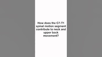 How does the C7-T1 spinal motion segment contribute to neck and upper back movement?