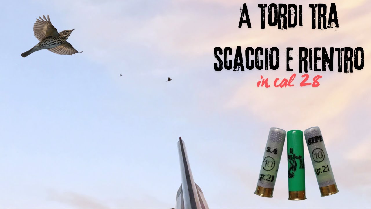 A tordi tra scaccio e rientro con il solito 28!!