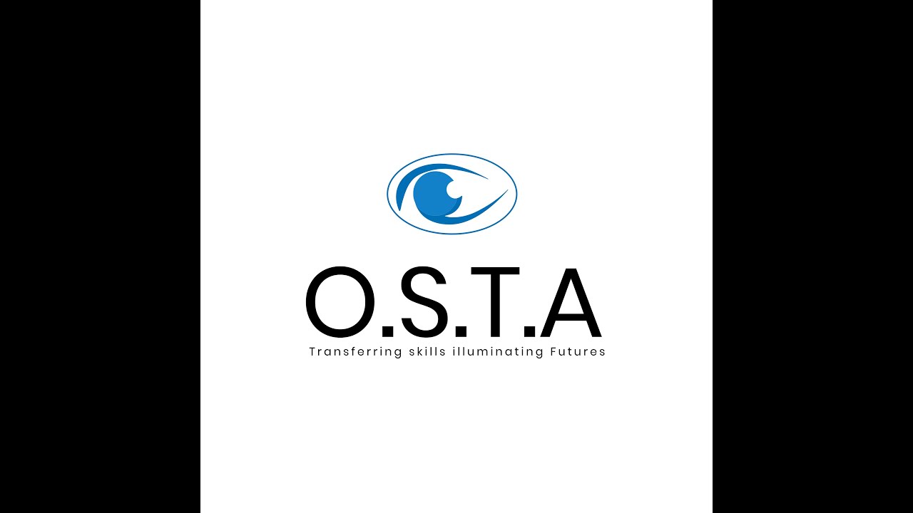Snapshot of Ophthalmic Surgical Training Academy Macular Hole Envelope Technique