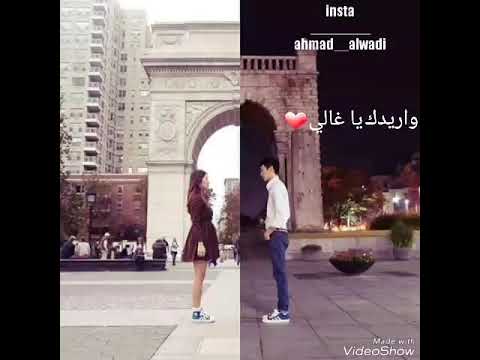 واريدك يا غالي مع الكلمات