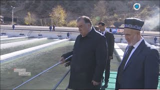 картинка: Эмомали Рахмон ловил рыбу в Ромите -10.11.2022
