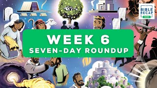 Week 6 (Seven-Day Roundup)