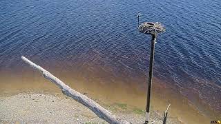 Live Camera Axis M5526-E