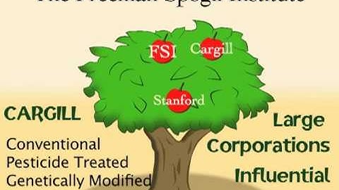 The Connecting the Dots Video
