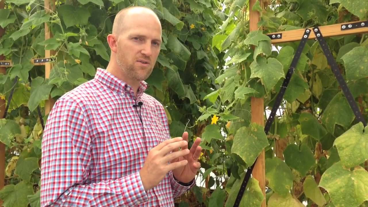 Remedy Soil Deficiencies with Cascade Minerals Remineralizing Soil Booster