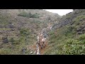 Tiếp Tục Khảo Sát Tuyến Đường Lên Trên Đỉnh Núi -  Phá Đá Mở Đường Thung Lũng Cán Lủng - Tập 16- NCN