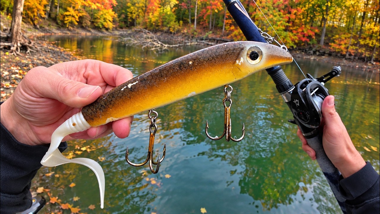 Muskies Went Nuts for This Lure!! (October Musky Fishing)
