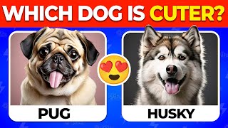 Który pies jest słodszy? 🐶 Edycja „Wolałbyś psy” – zabawny quiz o zwierzętach screenshot 4