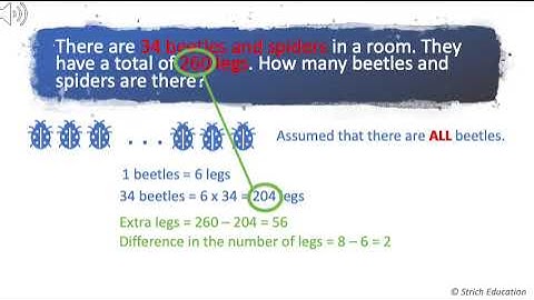Singapore Math - Heuristic - Assumption Method