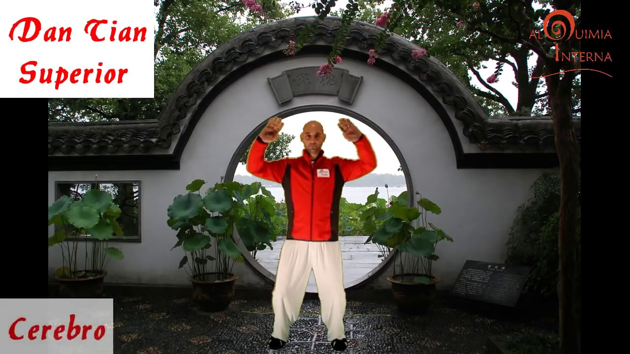 Zhan Zhuang y Los Tres Tesoros