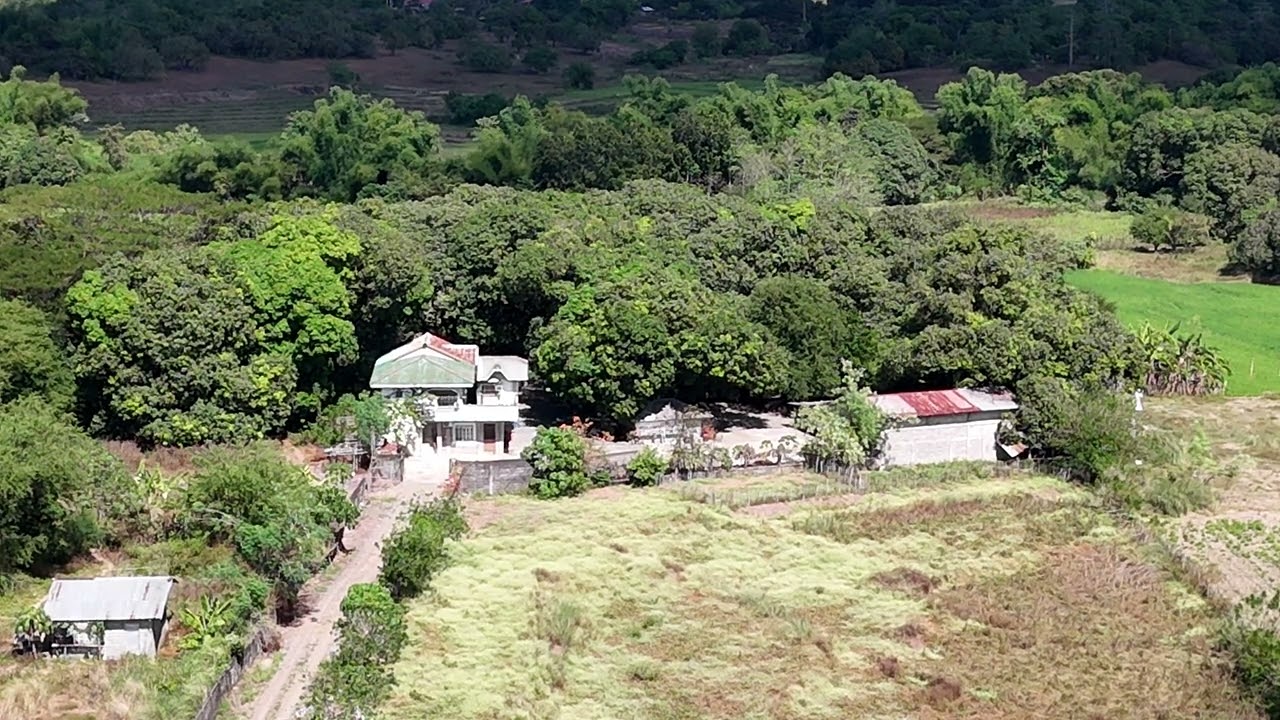 Celbays The Explorer