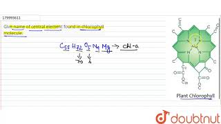 Give name of central element found in chlorophyll molecule. | 11 | PHOTOSYNTHESIS  | BIOLOGY | S...