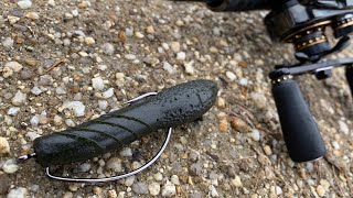 【バス釣り】噂のワームはやはり釣れる、、、、？