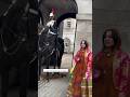 👑 Queen’s Guard Horse Meets the Crowd – Amazing Reactions