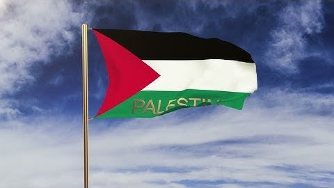 4K Palestine flag with title waving in the wind. Looping sun rises style. Animation loop Stock video