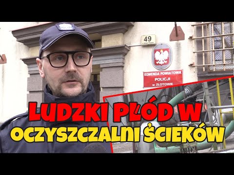 Ludzki płód w oczyszczalni ścieków