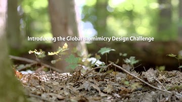 The Biomimicry Global Design Challenge - Original Promo video