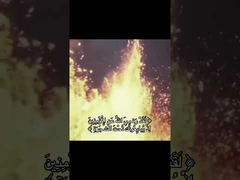ليس على الأعمى حرج قران كريم الدين الاسلامي اذكروا الله الاسلام قران كريم الحمدلله