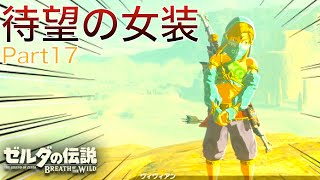 しっかり役に入り込む潜入者の鑑　Part17【ゼルダの伝説 Breath of the wild】