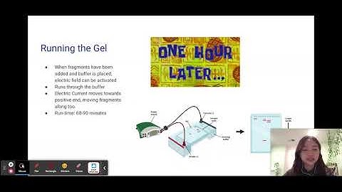 Gel Electrophoresis - CCA iGEM 2023
