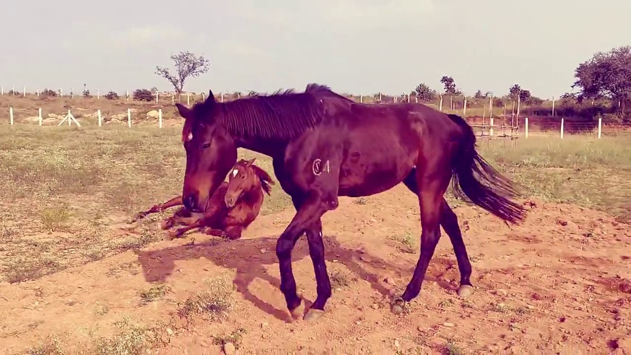 motocross riding school near me