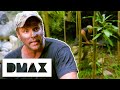 How To Catch And Kill A Wild Boar | Dual Survival