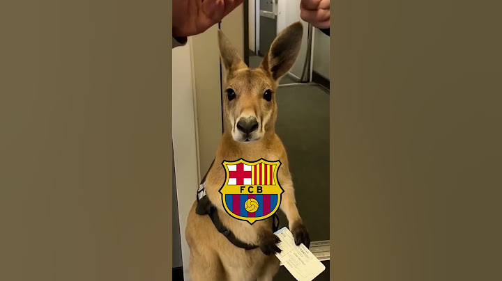 KŁÓTNIA O NAJLEPSZĄ DRUŻYNĘ KLUBOWYCH MISTRZOSTW ŚWIATA #realmadrid #barcelona #psg