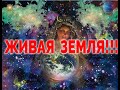 Земля Живой Организм / Виктор Максименков