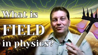 ⚡ What are fields in physics?