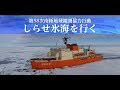 【南極地域観測協力行動】しらせ氷海を行く　～海上自衛隊～