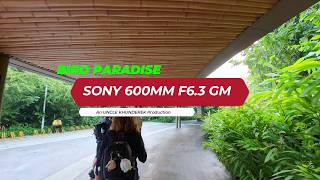 𝐒𝐨𝐧𝐲 𝟔𝟎𝟎𝐦𝐦 𝐅𝟔.𝟑 𝐆𝐌 / Bird Paradise Singapore