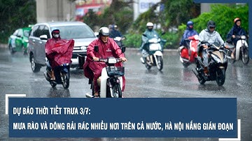 Dự báo thời tiết trưa 3/7: Mưa rào và dông rải rác nhiều nơi trên cả nước, Hà Nội nắng gián đoạn