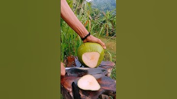 The glint of a sharp knife when peeling a green coconut #asmr #satisfying