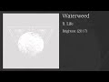 Waterweed - Life