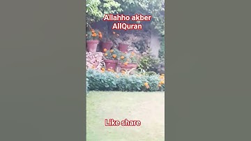 #القران_الكريم #تلاوه_خاشعه #قال رب انیی ظلمت نفسی #المصحف #اكسبلور #foryou