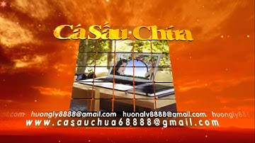 InTro BluffTitler Dep Moi