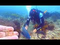 Found Expensive GOLD Jewelry & Money!! Diving the FISH SANCTUARY