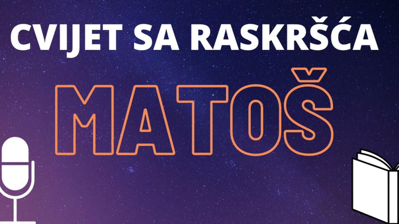 A. G. Matoš: Cvijet sa raskršća  ❇️ AUDIO KNJIGA kompletna