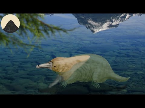 Evolution of the Platypus