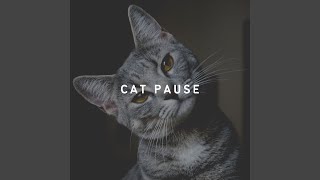 Download Lagu Kitty Paws MP3